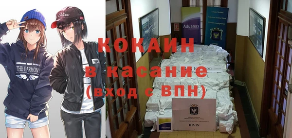 МДПВ Бикин