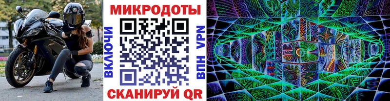 Галлюциногенные грибы Psilocybine cubensis  Купить где  Мамадыш 
